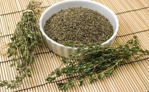 خرید و فروش عمده سبزی مرزه خشک + قیمت صادراتی